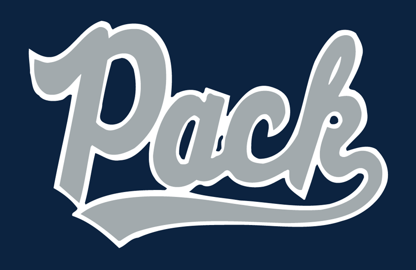 Nevada Wolf Pack 1985-1995 Helmet Logo diy iron on heat transfer